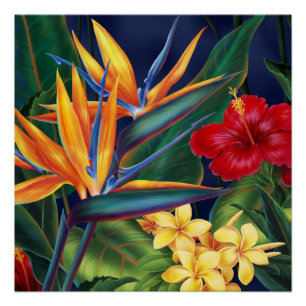 Tropisch Paradise Hawaiian Floral Perfect Poster