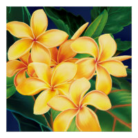 Tropisch Paradise Plumeria Hawaiian