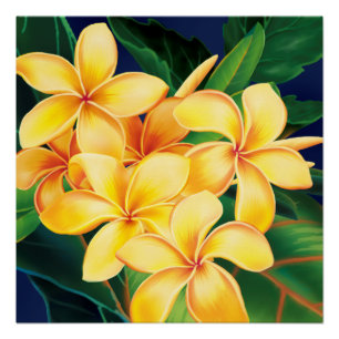 Tropisch Paradise Plumeria Hawaiian Perfect Poster