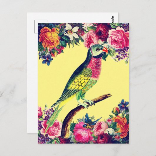 Tropisch parrot ontwerp briefkaart (Voorkant / Achterkant)