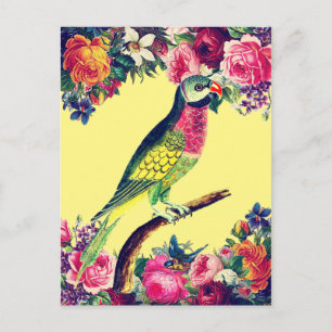 Tropisch parrot ontwerp briefkaart
