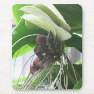 Tropisch Plant Foto Mousepad Muismat