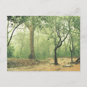 Tropisch regenwoud Western Ghats India Briefkaart