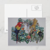 Tropisch regenwoud Wildlife Collage Briefkaart (Voorkant / Achterkant)