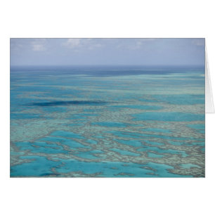 Tropisch rif, Great Barrier Reef, Queensland