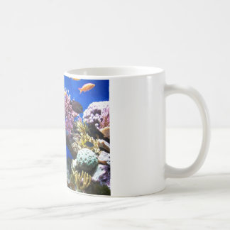 Tropisch rif koffiemok