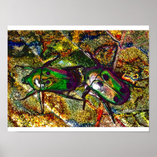 Tropisch Roos Chafer Beetle Digital Art Poster
