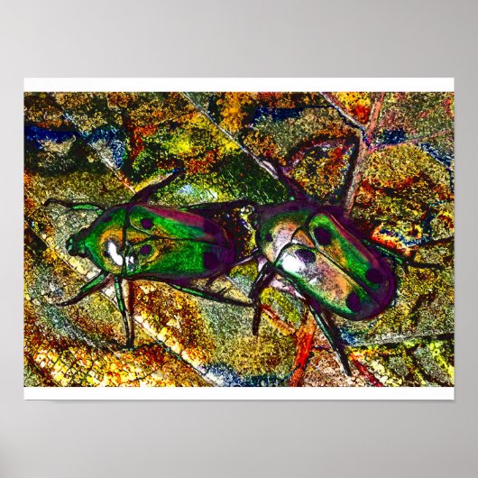 Tropisch Roos Chafer Beetle Digital Art Poster (Voorkant)