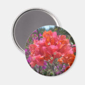 Tropisch Roze Bougainvillea Magneet (Voorkant / Achterkant)