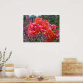 Tropisch Roze Bougainvillea Poster (Keuken)