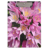 Tropisch roze en gele bloemen klembord (Voorkant)