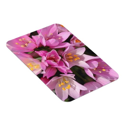 Tropisch roze en gele bloemen magneet (Rechterzijde)