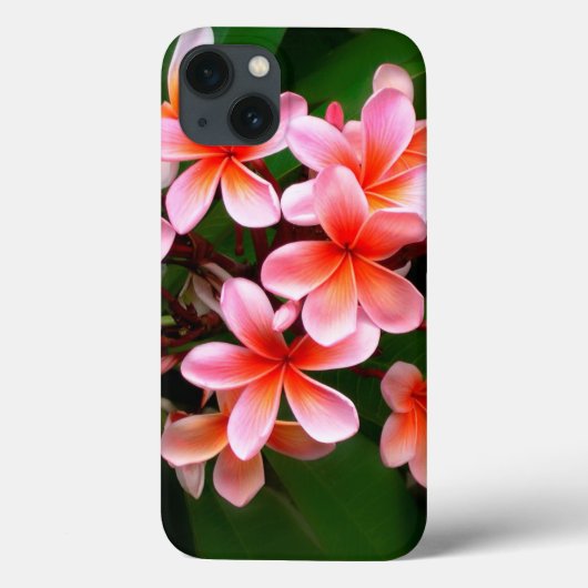 Tropisch roze groene stekelroze bloemen foto Case-Mate iPhone case (Achterkant)