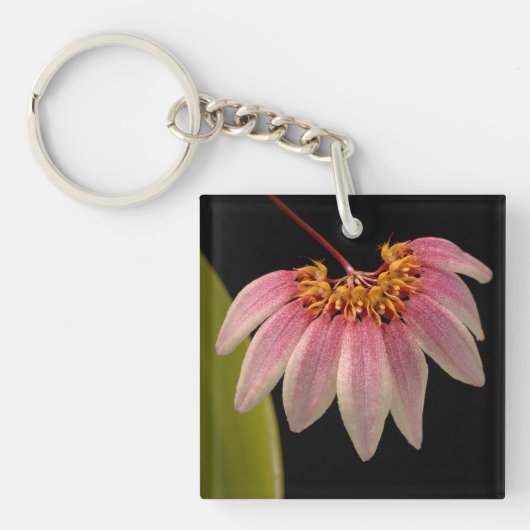 Tropisch roze orchidee sleutelhanger (Voorkant)