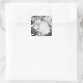 Tropisch Storm Alma Vierkante Sticker (Tas)