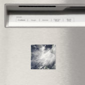 Tropisch Storm Conson Magneet (Insitu (Vaatwasser))