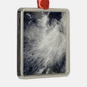 Tropisch Storm Conson Metalen Ornament (Rechts)