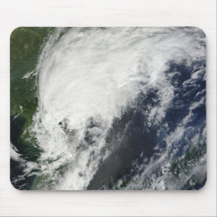 Tropisch Storm Kompasu Muismat