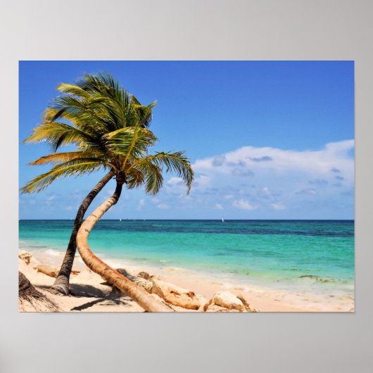 Tropisch strand en palmboom poster (Voorkant)
