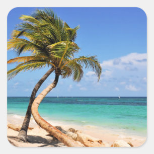 Tropisch strand en palmboom vierkante sticker