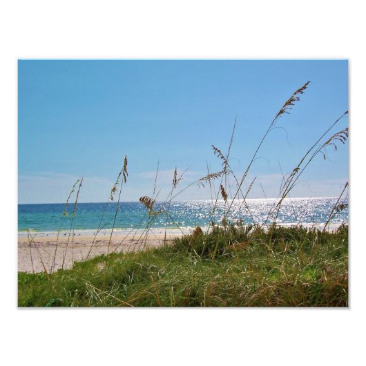 Tropisch strand en Zee haver Foto Afdruk (Voorkant)