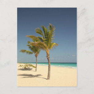 Tropisch strand in de Dominicaanse Republiek Briefkaart