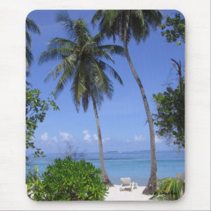 Tropisch strand muismat