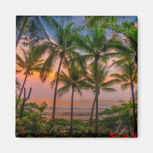 Tropisch strand   Nationaal park Corcovado Magneet