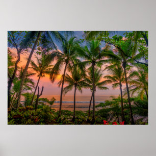 Tropisch strand Nationaal park Corcovado Poster