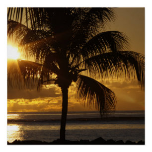 Tropisch strand perfect poster