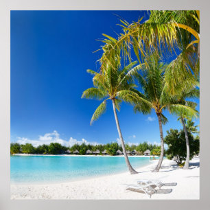 Tropisch strand poster