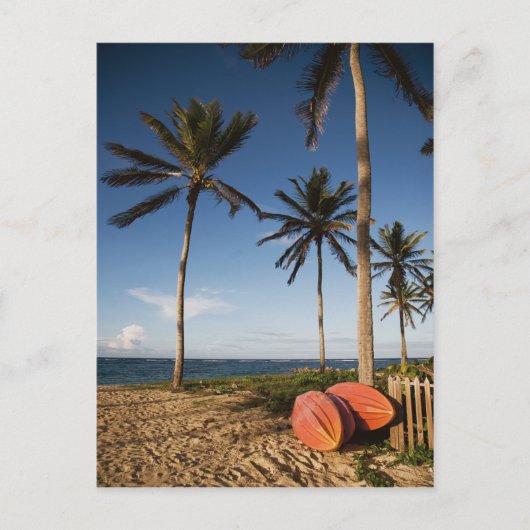 Tropisch strand scène briefkaart (Voorkant)