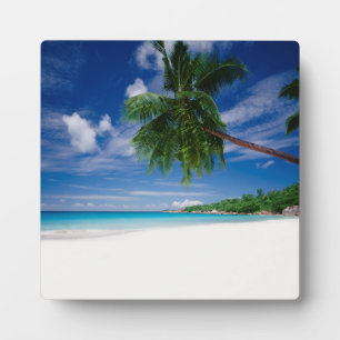 Tropisch strand Seychellen Fotoplaat