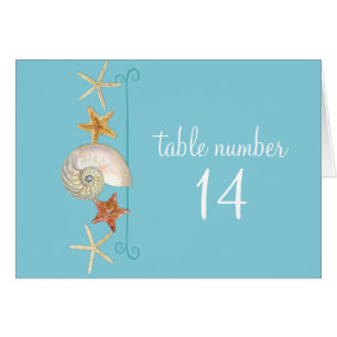 Tropisch strand Shells Starfish Nautilus Summer