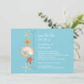 Tropisch strand Shells Starfish Nautilus Summer Kaart (Staand voorkant)