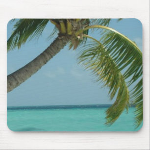 Tropisch strand Zand Sun Water Ocean Waves Surf Ar Muismat