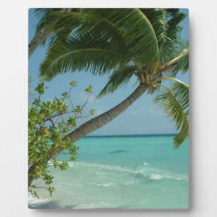 Tropisch Strand Zand Zon Water Oceaan Golven Surf Fotoplaat