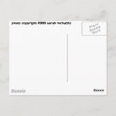 tropisch strandbriefkaart briefkaart (Achterkant)