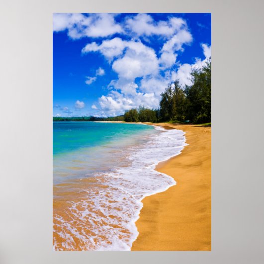 Tropisch strandparadijs, Hawaii Poster (Voorkant)