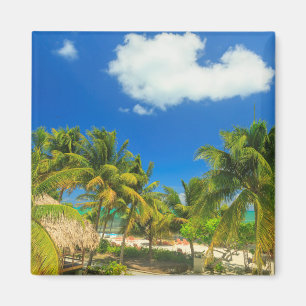 Tropisch strandresort, Belize Magneet