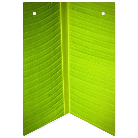 Tropisch thema. Banaanbladeren. Vlaggetjes (Eerste vlag)