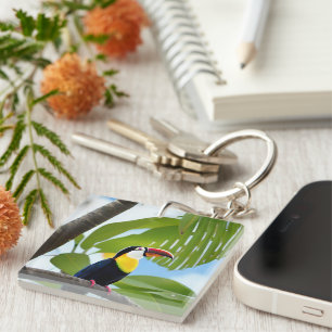 Tropisch toucan in een boom sleutelhanger
