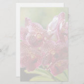 Tropisch Vanda Orchid Cluster Briefpapier (Voorkant / Achterkant)