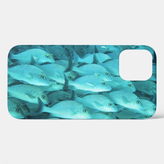 Tropisch viskoraalrif, zeeleven. Case-Mate iPhone case (Achterkant (horizontaal))