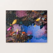 Tropisch Zee van de Grote Barrierriffen Legpuzzel (Horizontaal)