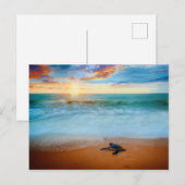 Tropisch zonnig Zee Schorst Sandy Beach Briefkaart (Voorkant / Achterkant)