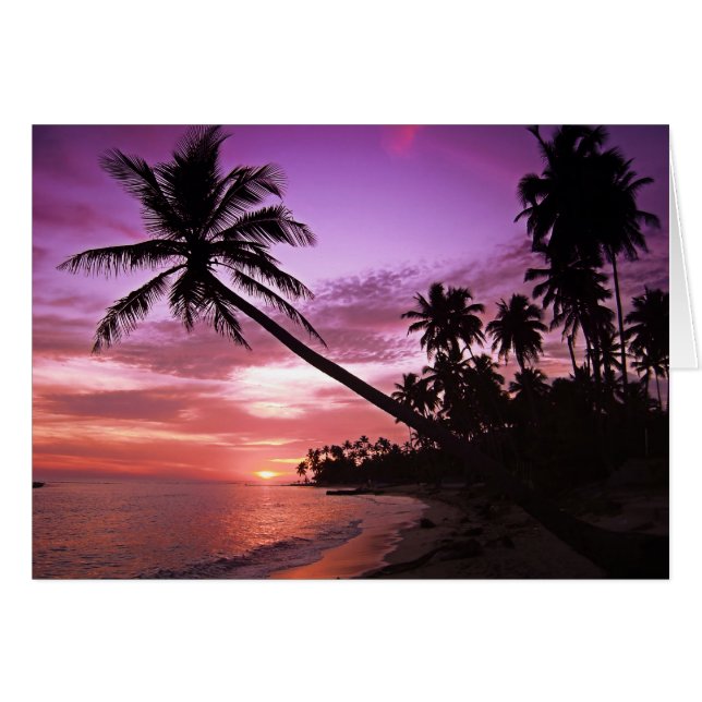 Tropisch zonsonderstel (Voorkant Horizontaal)