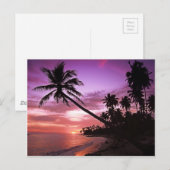 Tropisch zonsonderstel briefkaart (Voorkant / Achterkant)