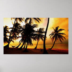 Tropisch zonsonderstel poster