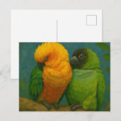 Tropische affectie - Papegaaien in het licht van h Briefkaart (Voorkant / Achterkant)